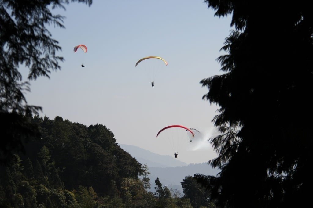 Delo Park