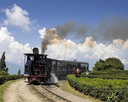 Darjeeling Tour Packages Under ₹5000