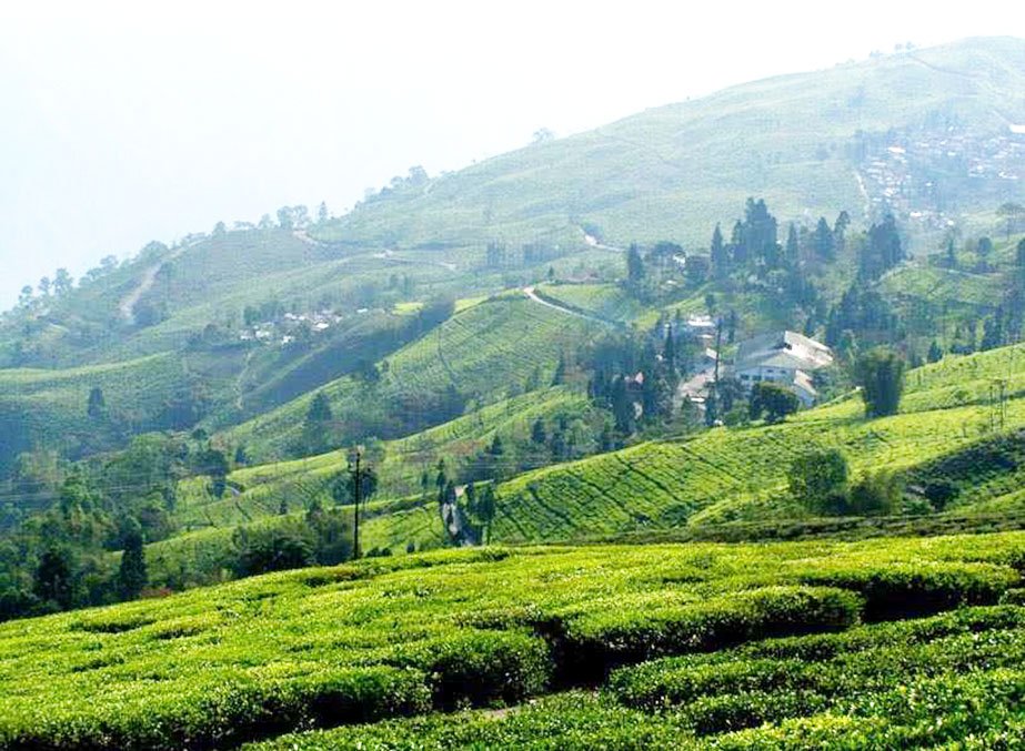 4 Nights 5 Days Darjeeling Gangtok Itinerary