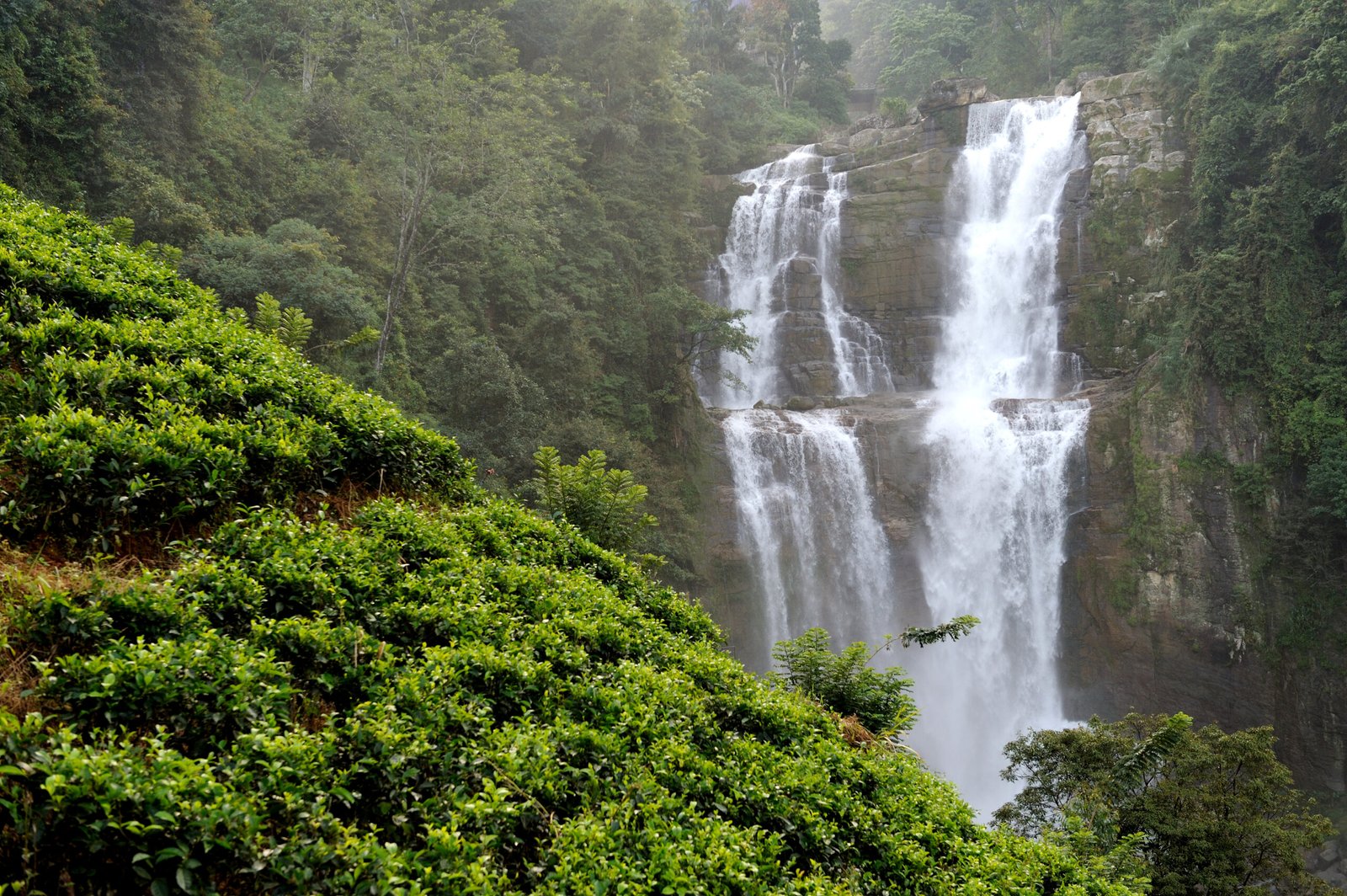 Beautiful waterfall in Sri Lanka