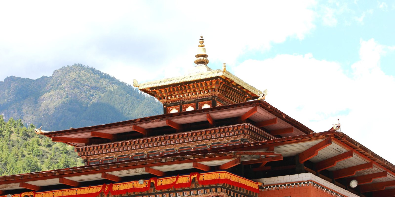 _go golden website (4)