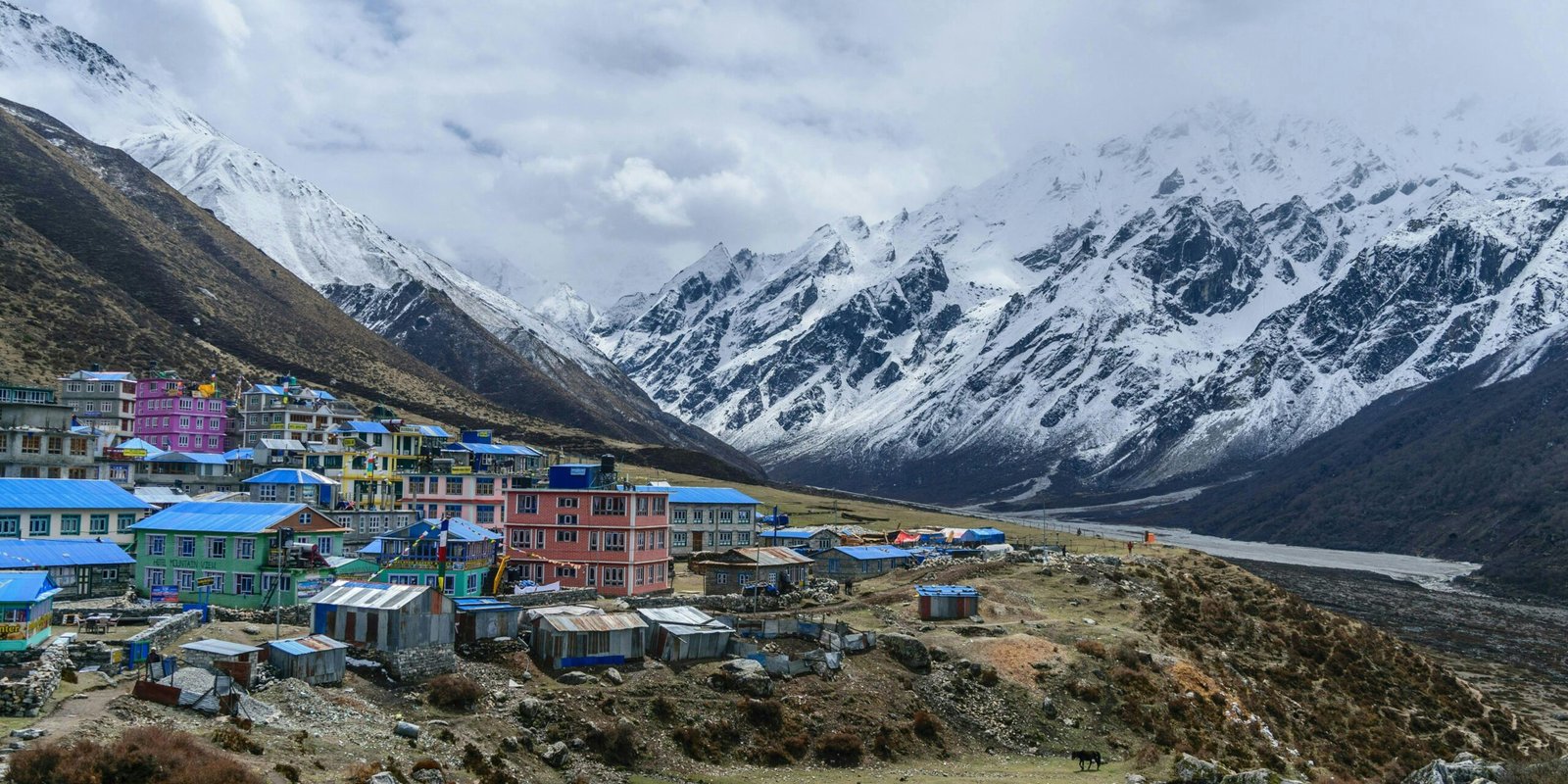 _go golden website (10)