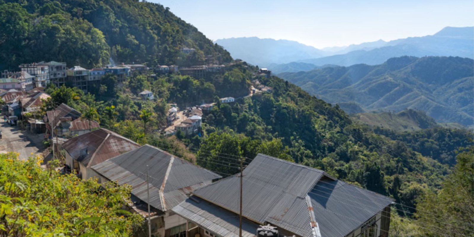 _go golden website (100)