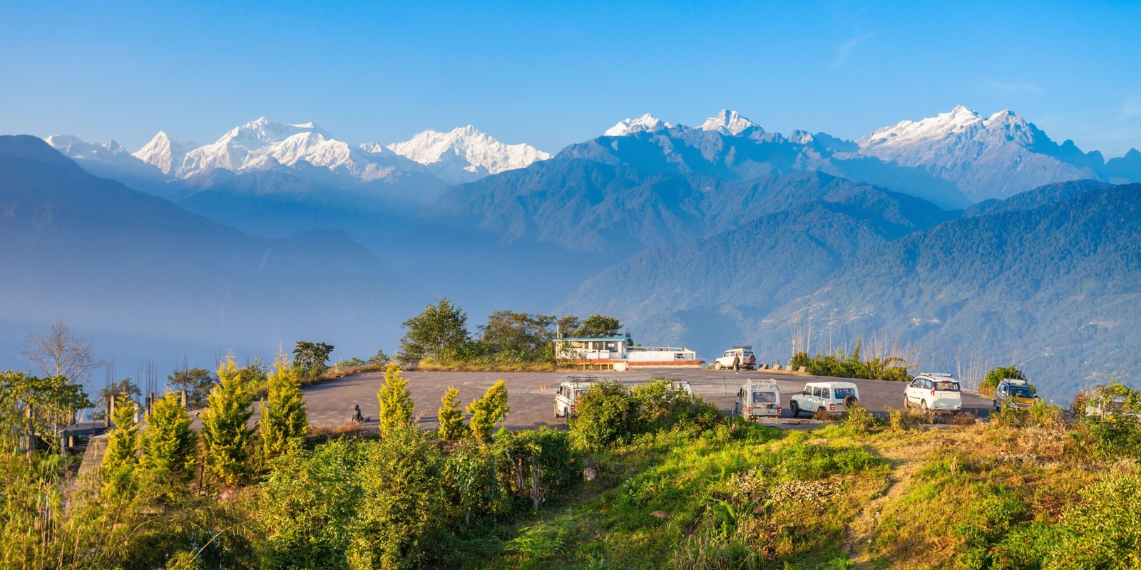 _go golden website (11)