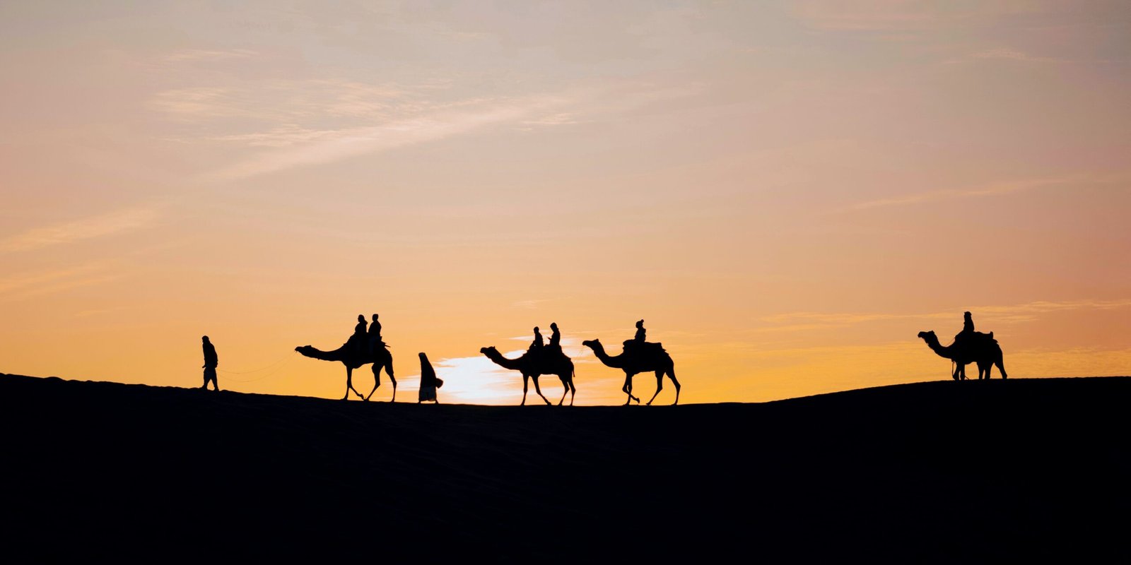 _go golden website (14)