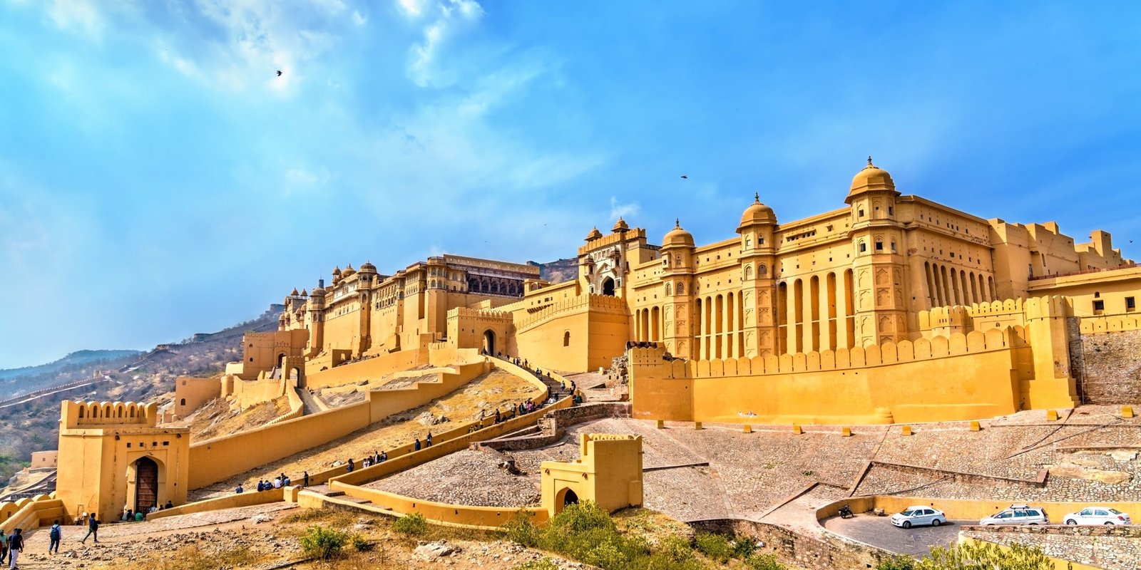 _go golden website (17)