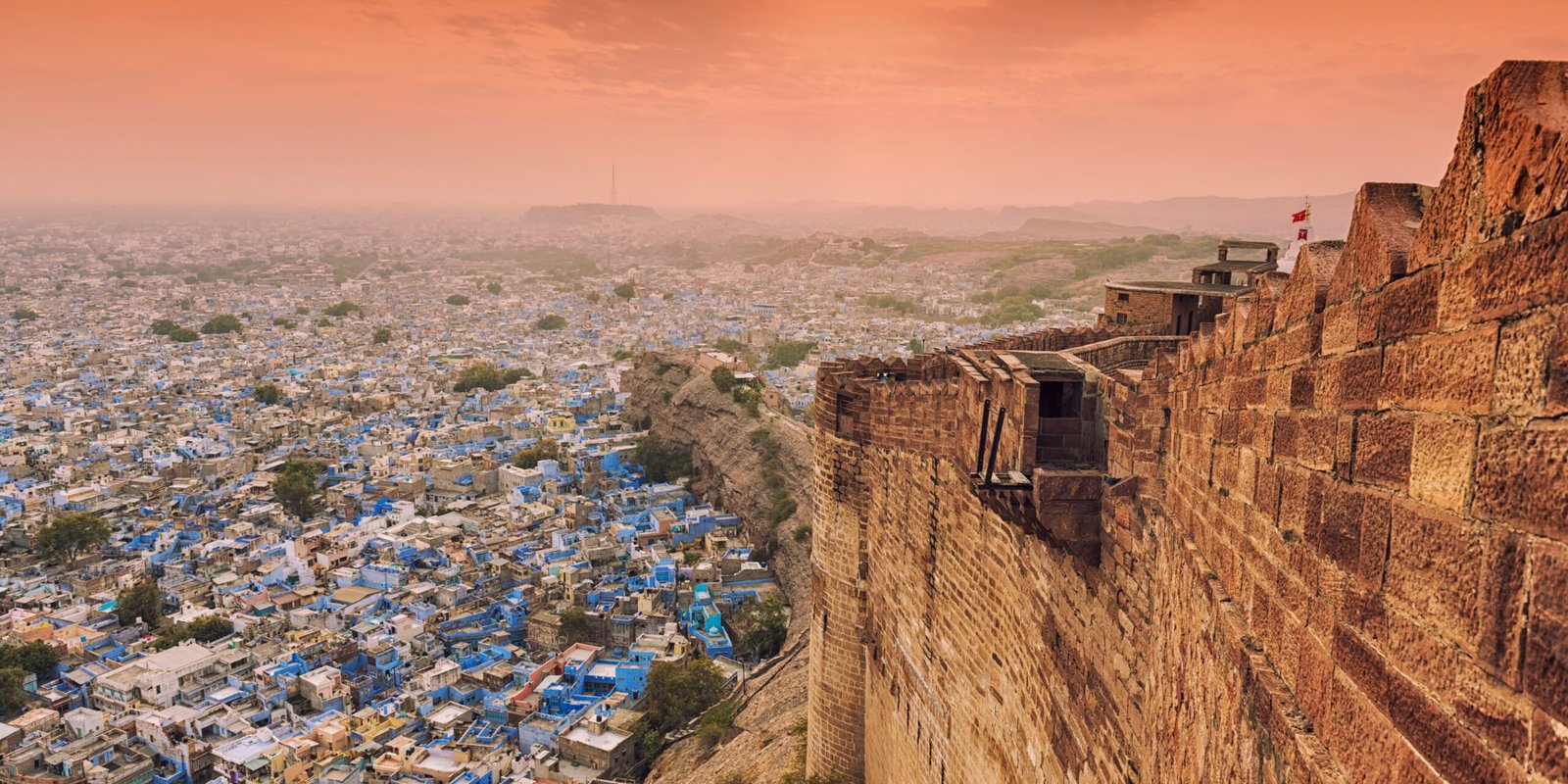 _go golden website (20)