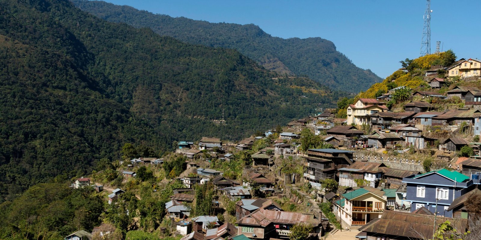 _go golden website – 2025-12-09T164429.558