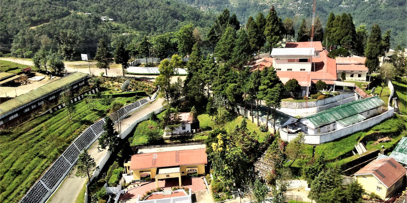 _go golden website – 2025-12-09T165407.071