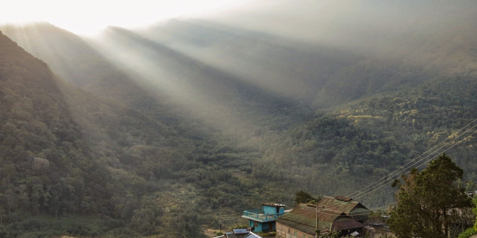 _go golden website – 2025-12-09T170236.787