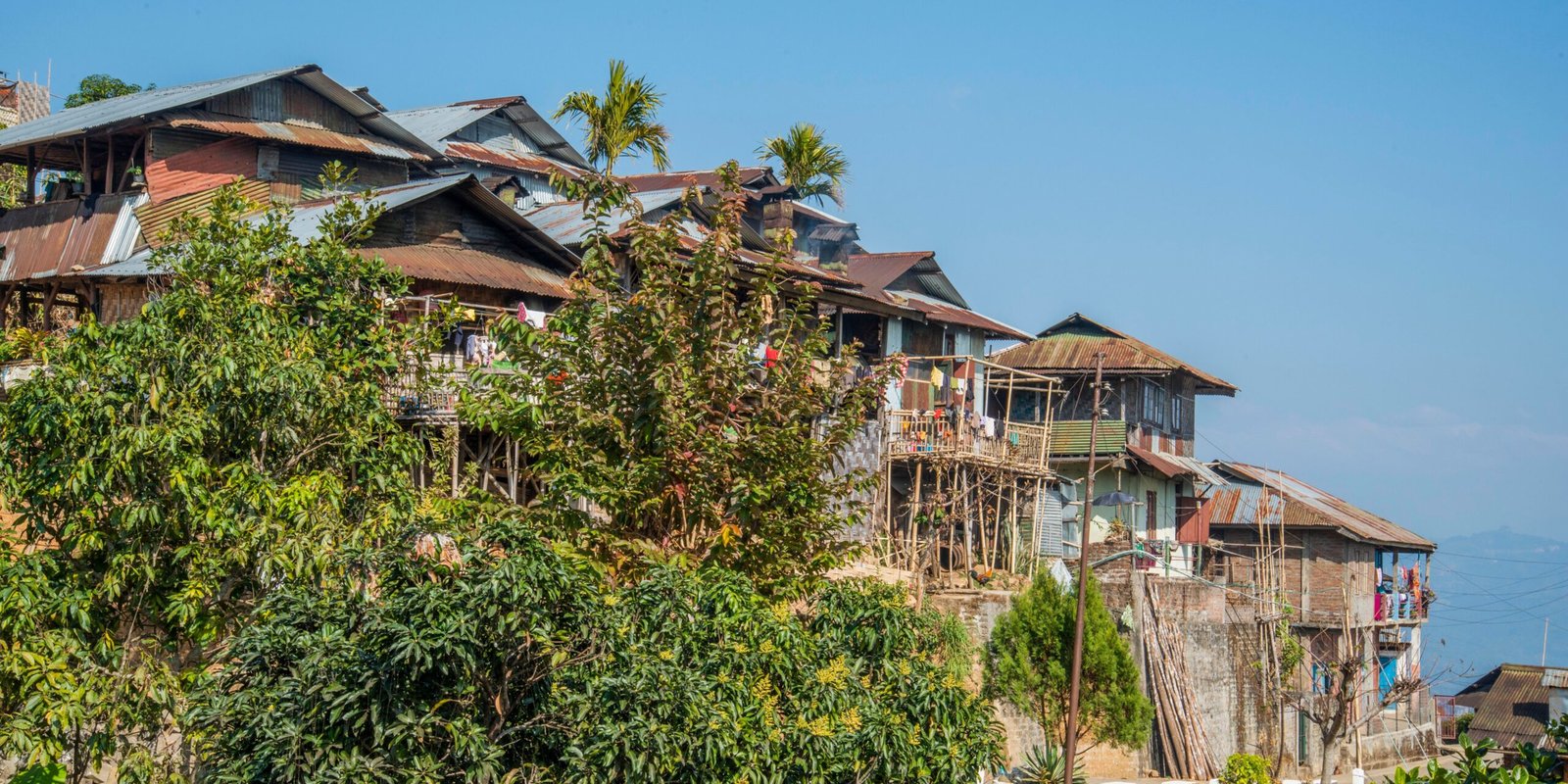 _go golden website – 2025-12-09T173351.333