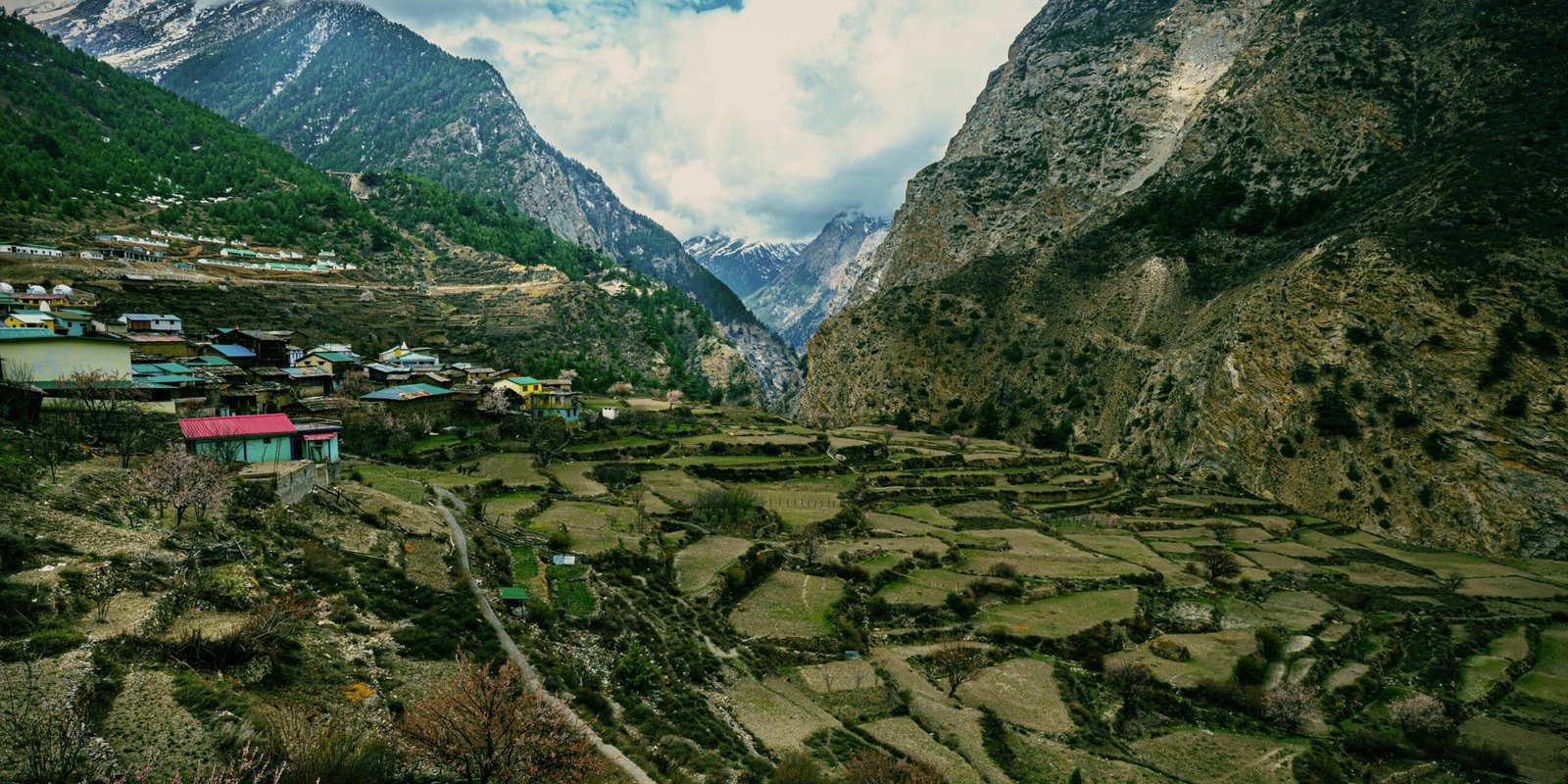 _go golden website – 2025-12-10T145552.358