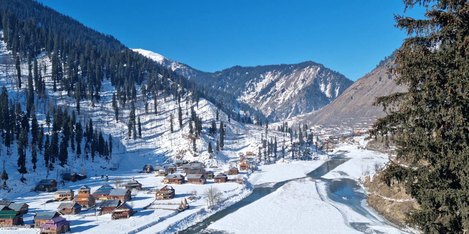 _go golden website – 2025-12-10T153245.219