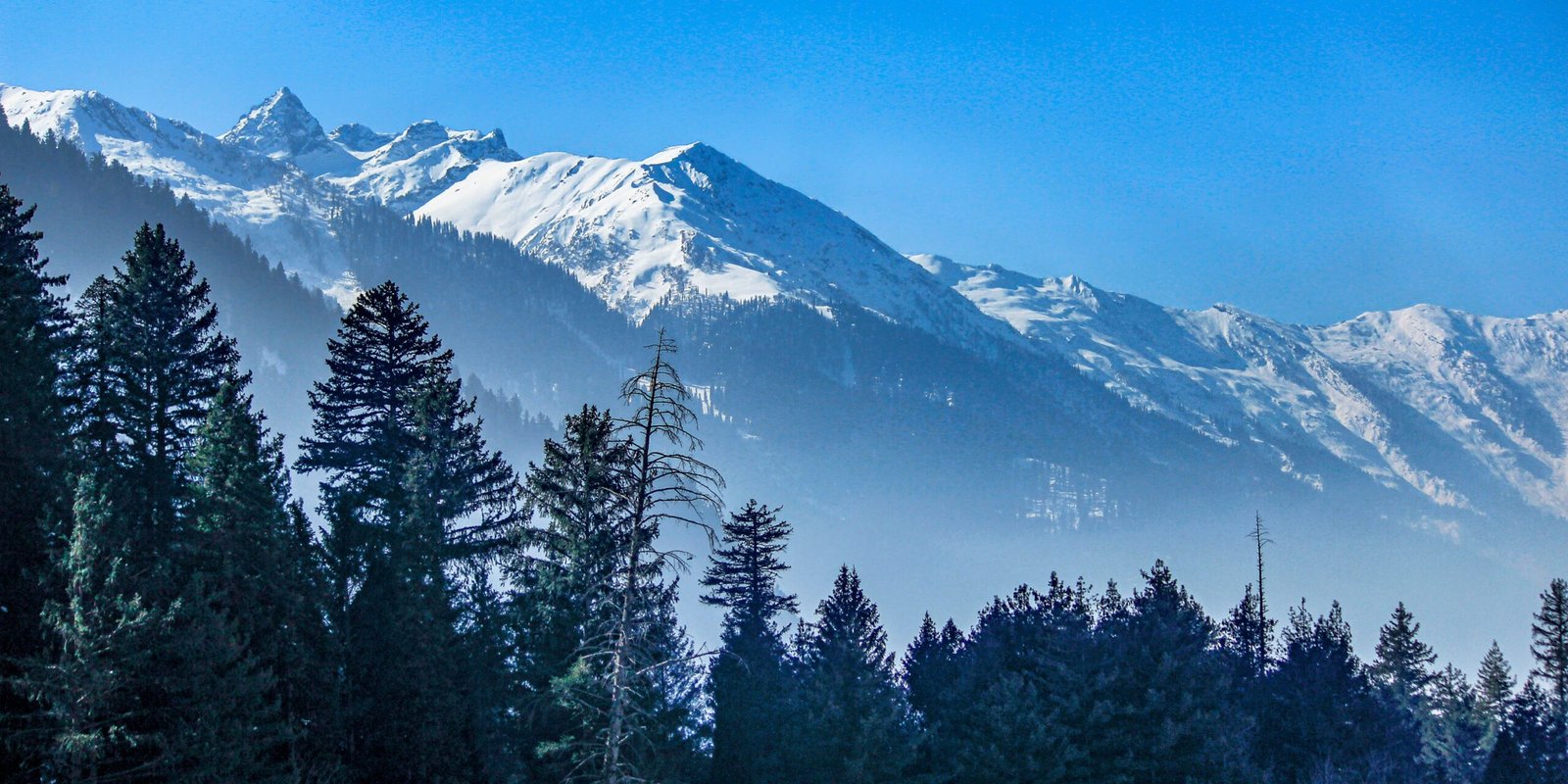 _go golden website – 2025-12-10T154440.482