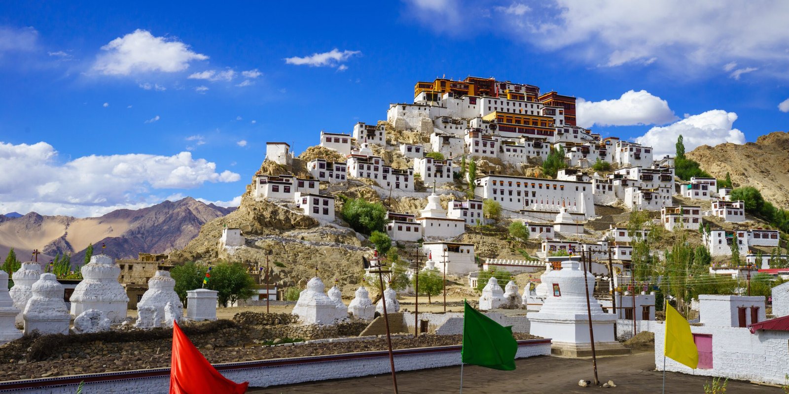 _go golden website – 2025-12-10T162057.434