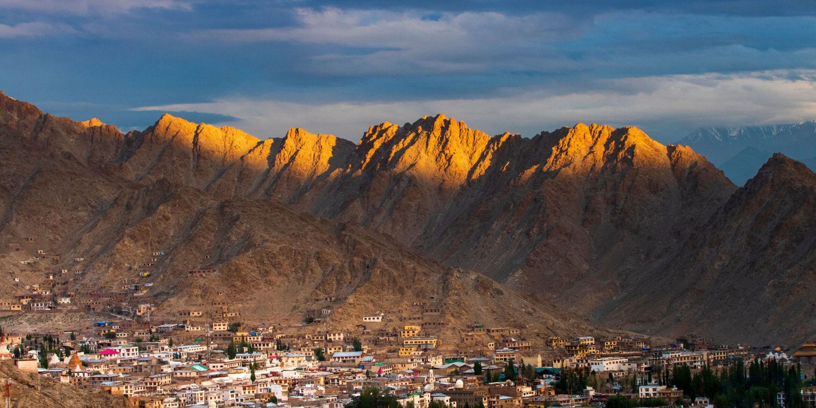 _go golden website – 2025-12-10T163130.860