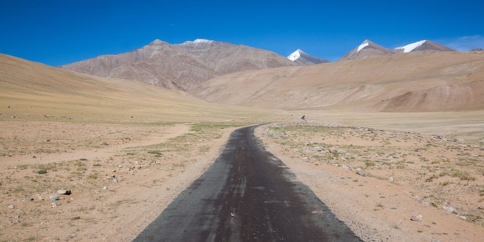 _go golden website – 2025-12-10T163611.516