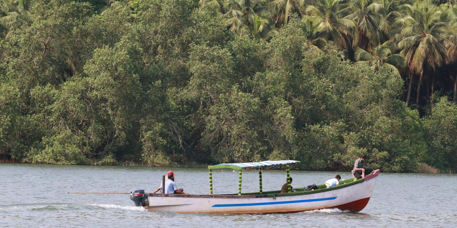 _go golden website – 2025-12-10T184208.386