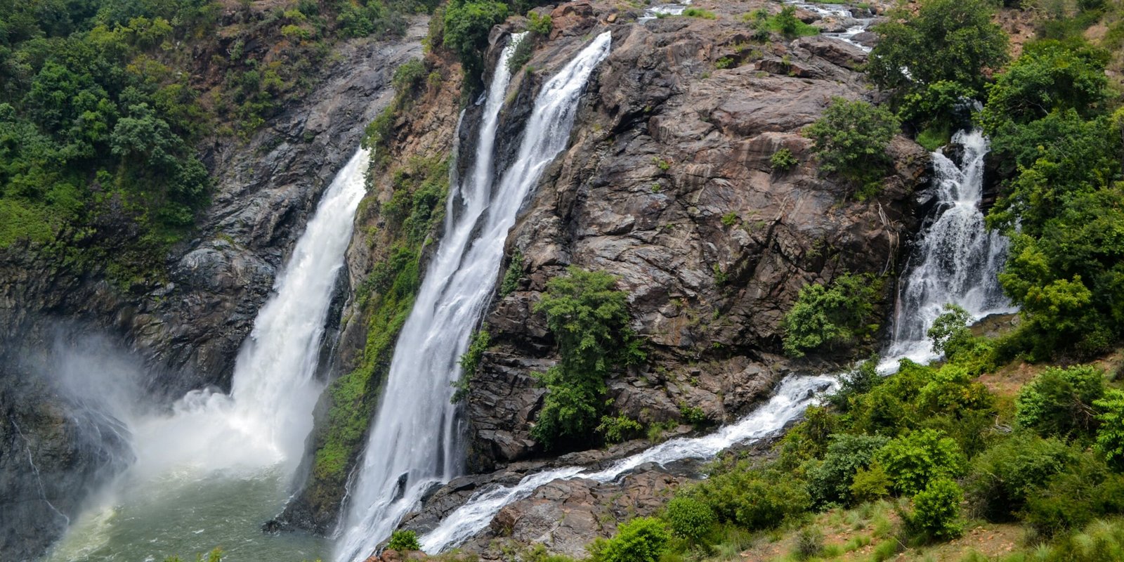 _go golden website – 2025-12-10T184348.686