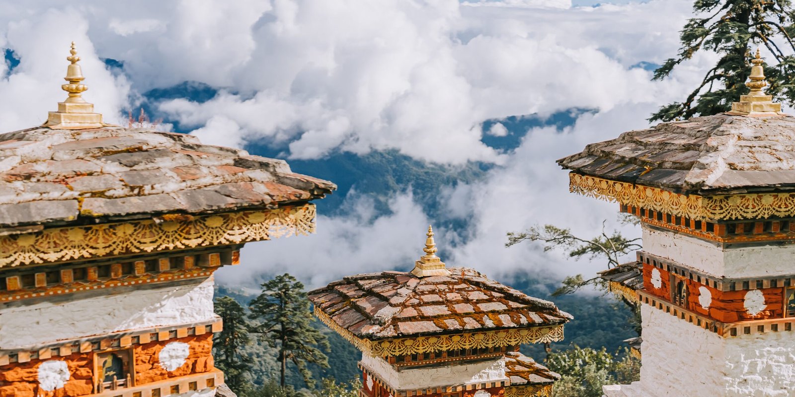 _go golden website – 2025-12-11T154302.069