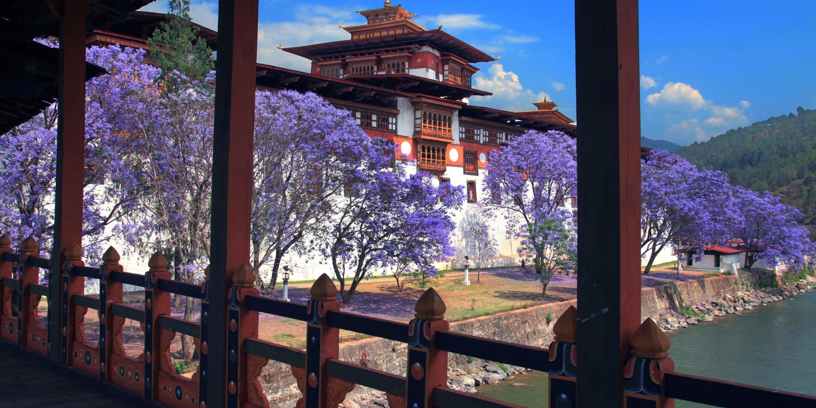 _go golden website – 2025-12-11T154616.693