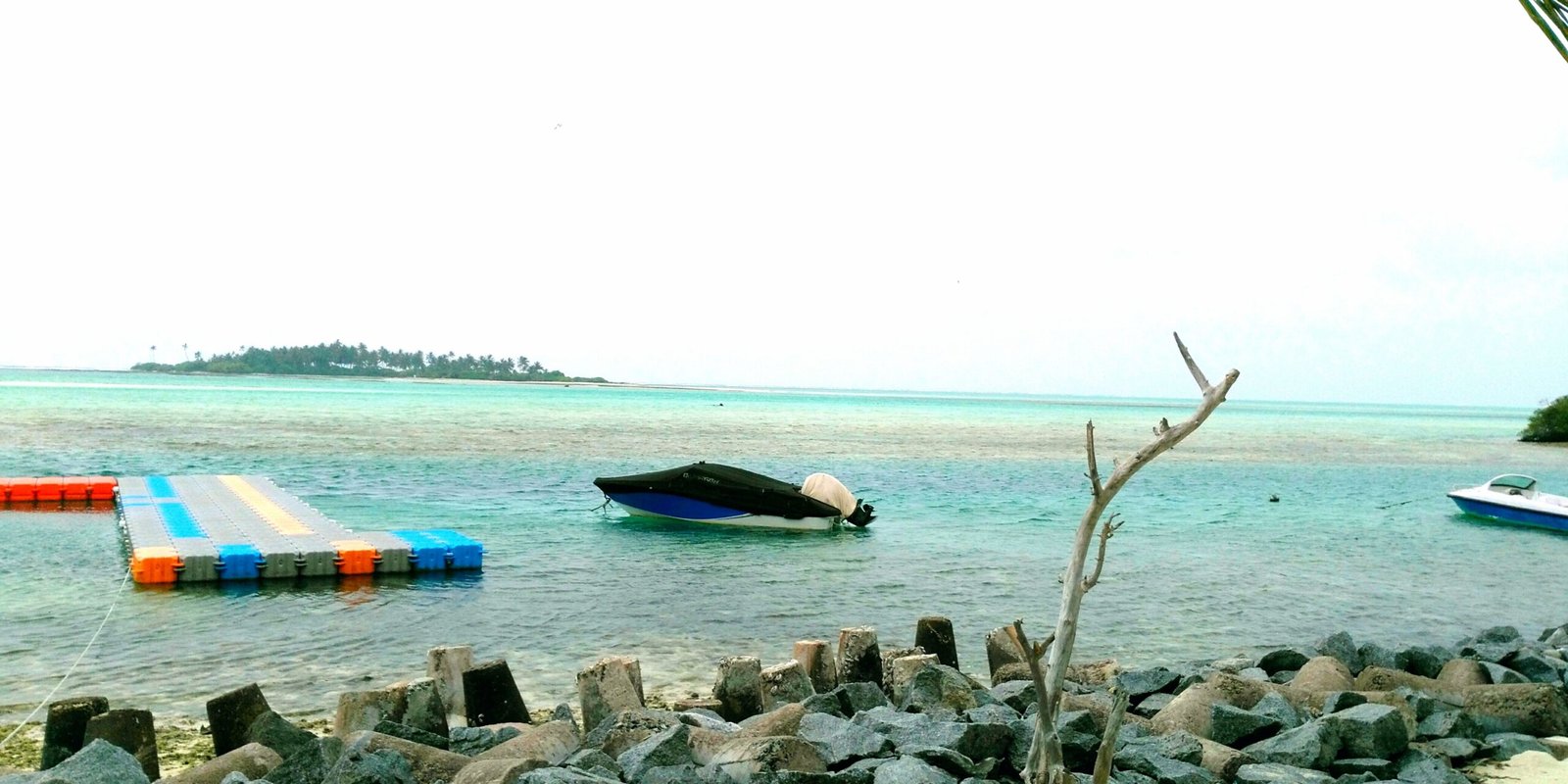 _go golden website – 2025-12-11T181519.222