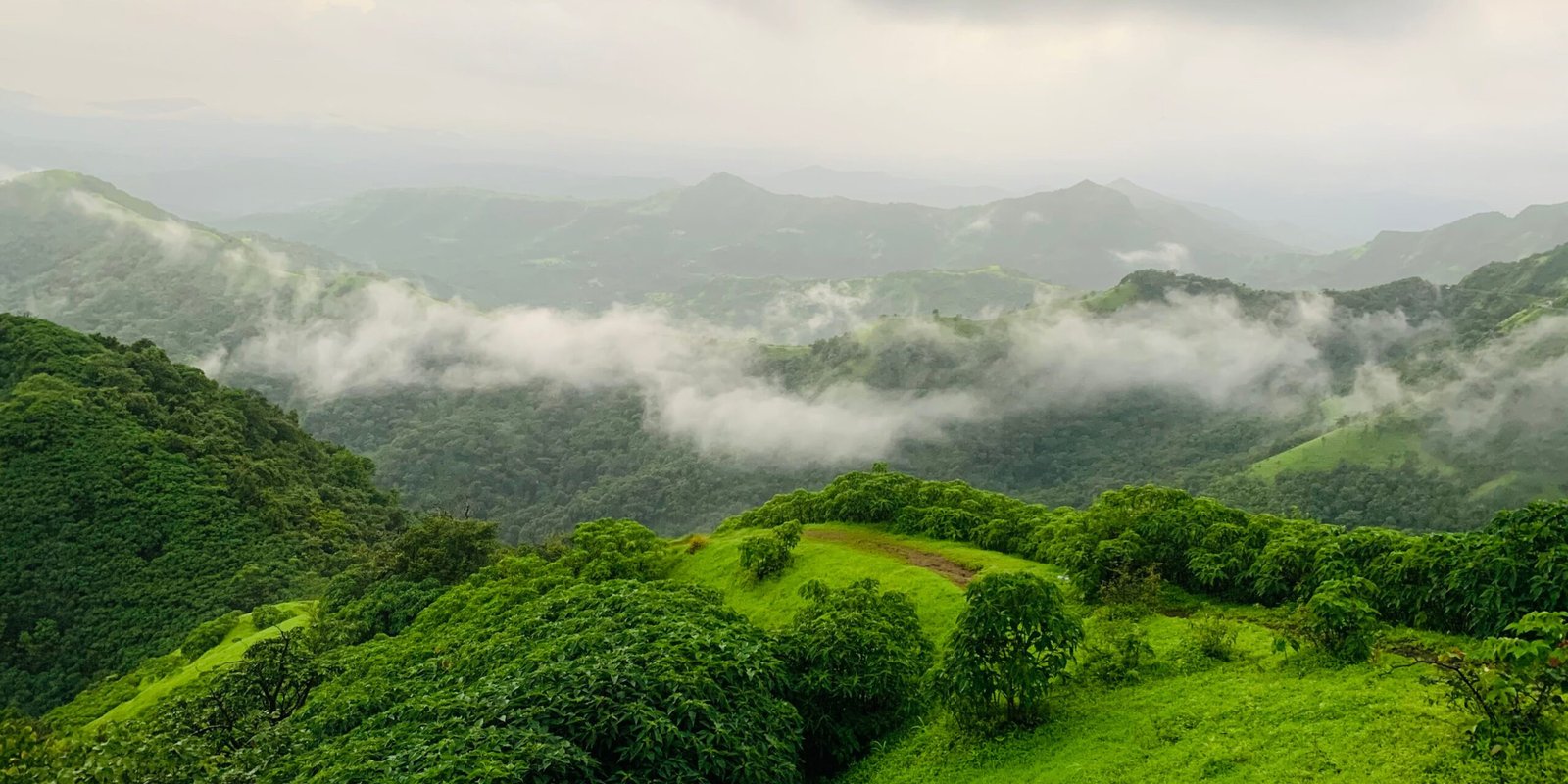 _go golden website – 2025-12-12T175422.767