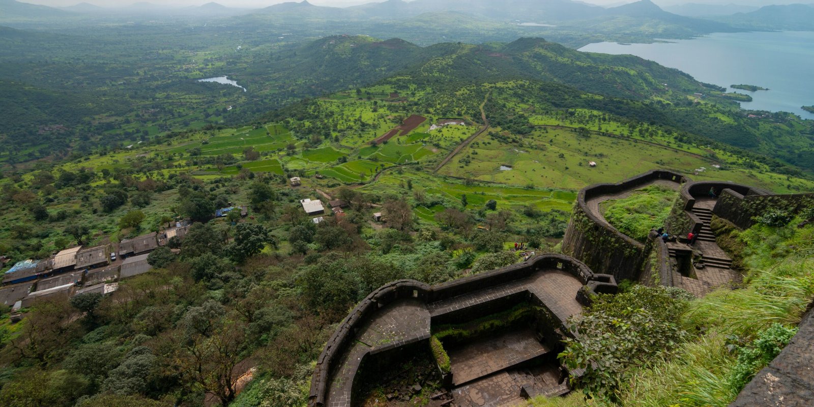 _go golden website – 2025-12-12T175549.975