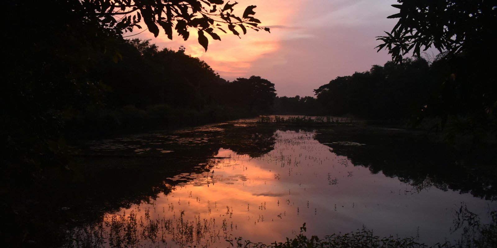 _go golden website – 2025-12-12T184637.195