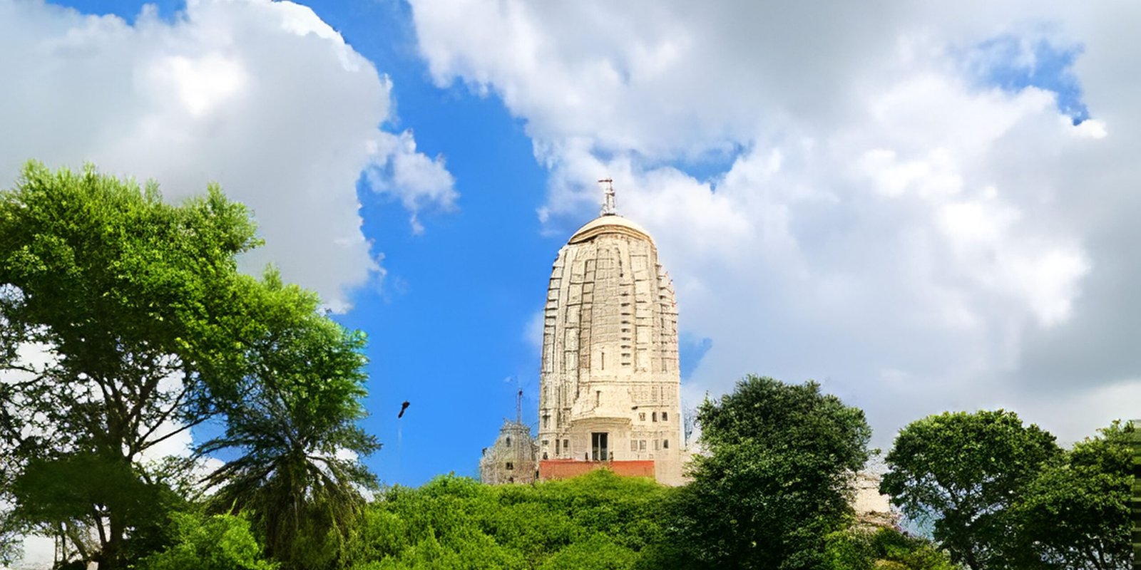 _go golden website – 2025-12-13T123325.797