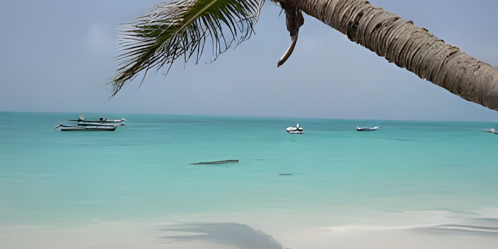 _go golden website – 2025-12-13T124857.632