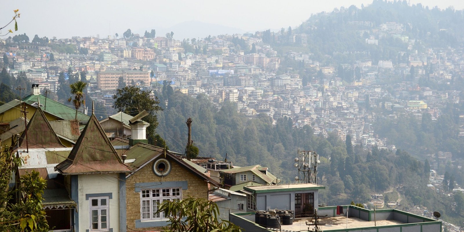 _go golden website (22)