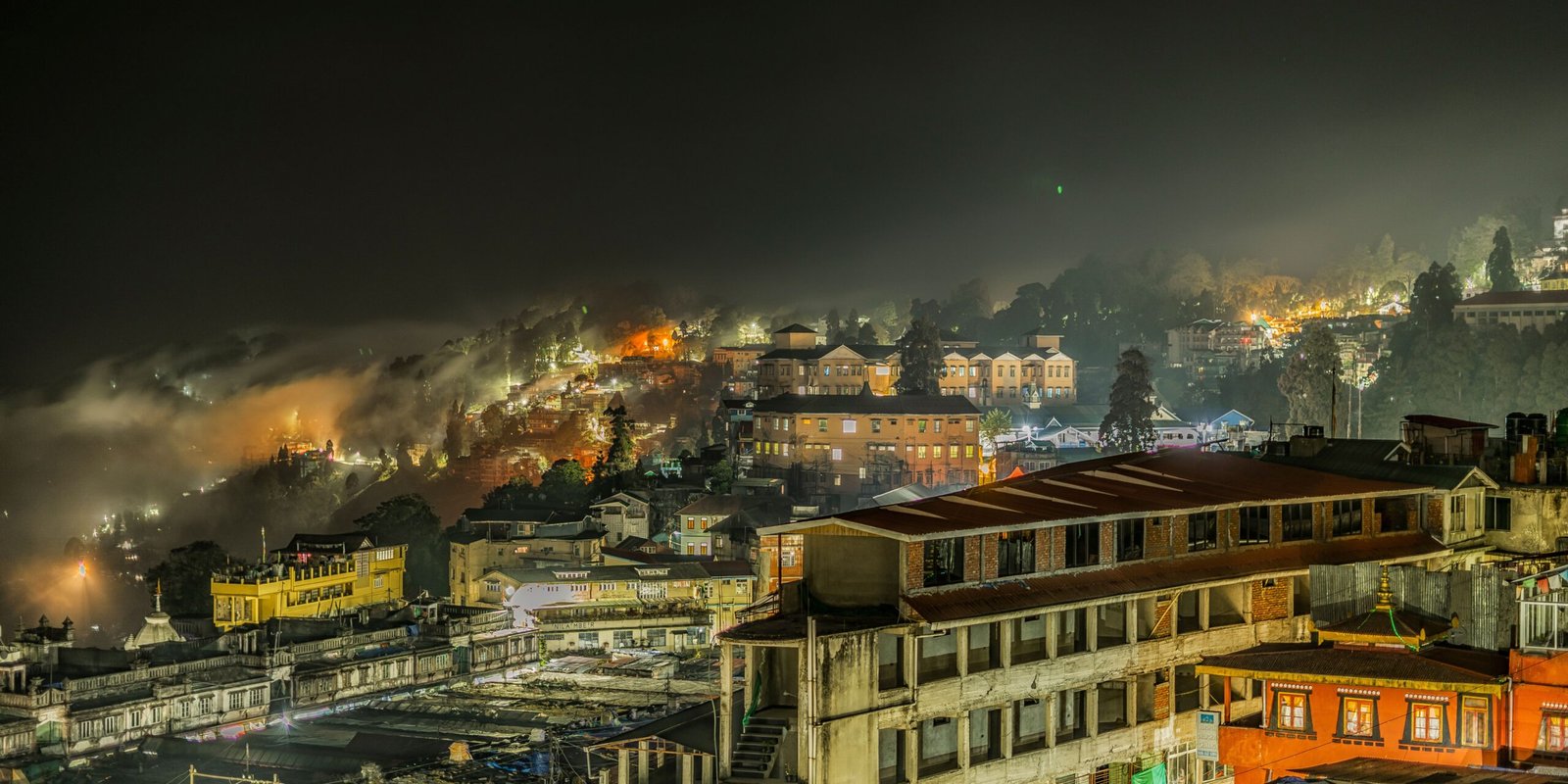 _go golden website (26)