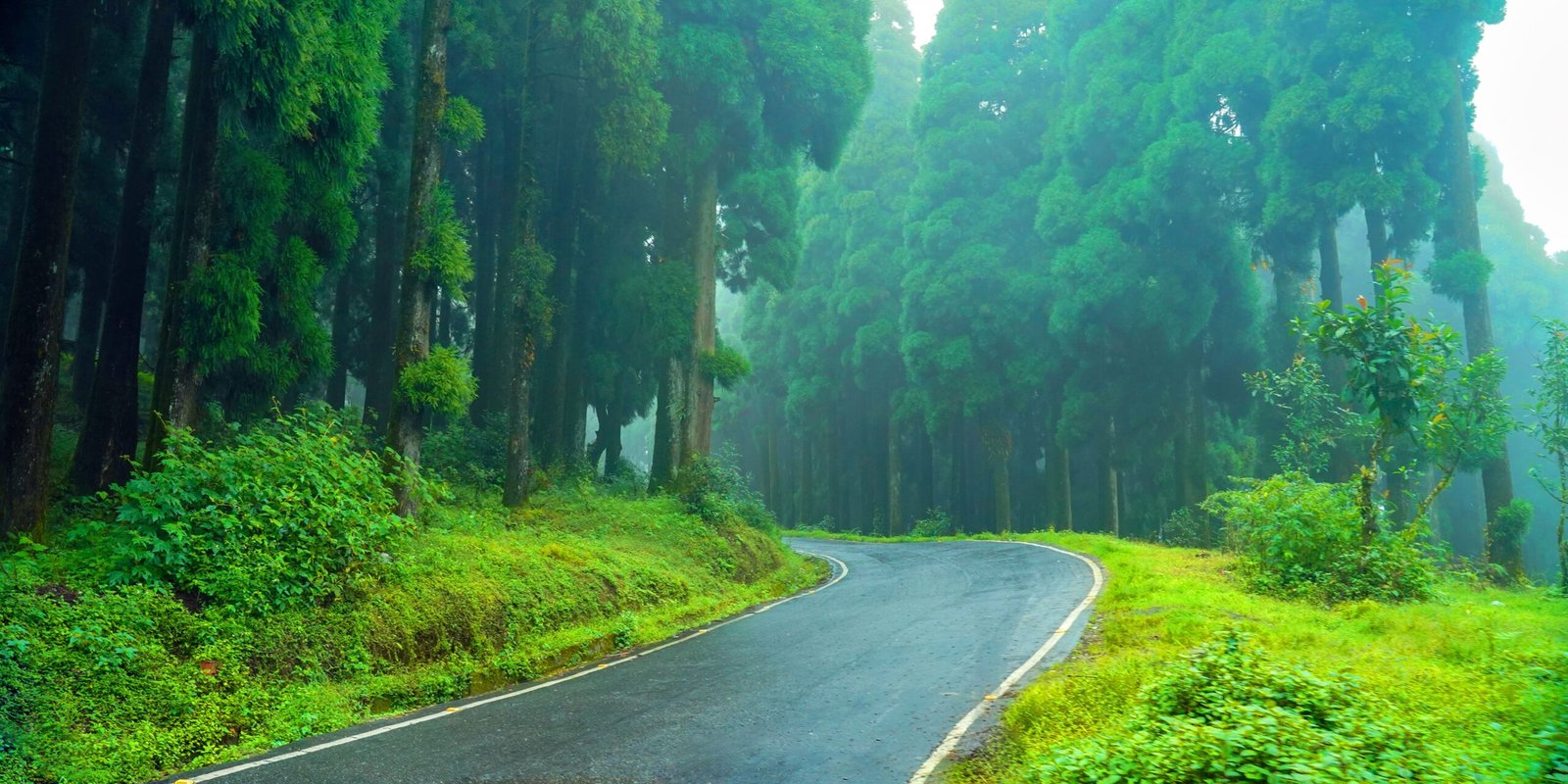 Meghalaya Hidden Gems: Best Places Beyond Shillong & Cherrapunji