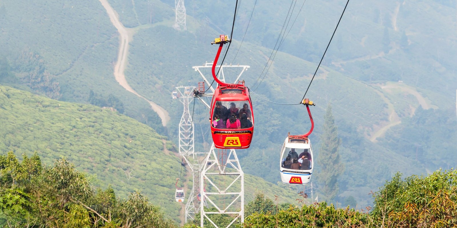 _go golden website (28)