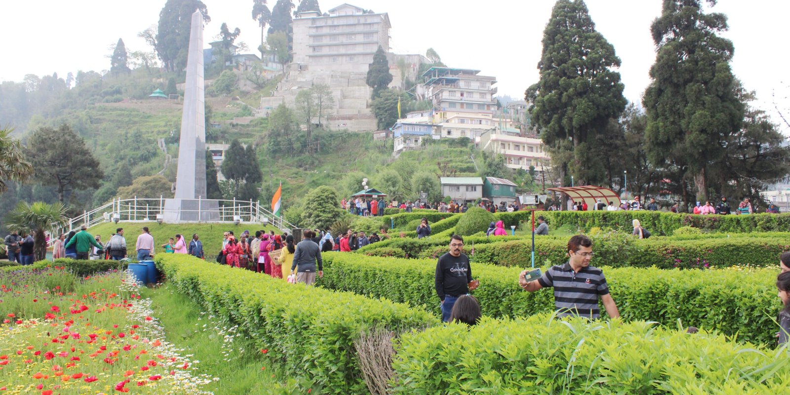 _go golden website (29)