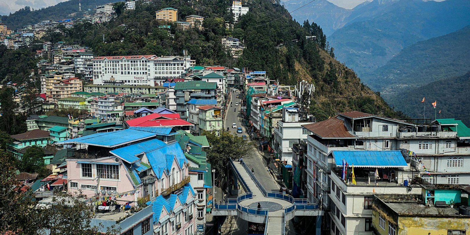 _go golden website (31)