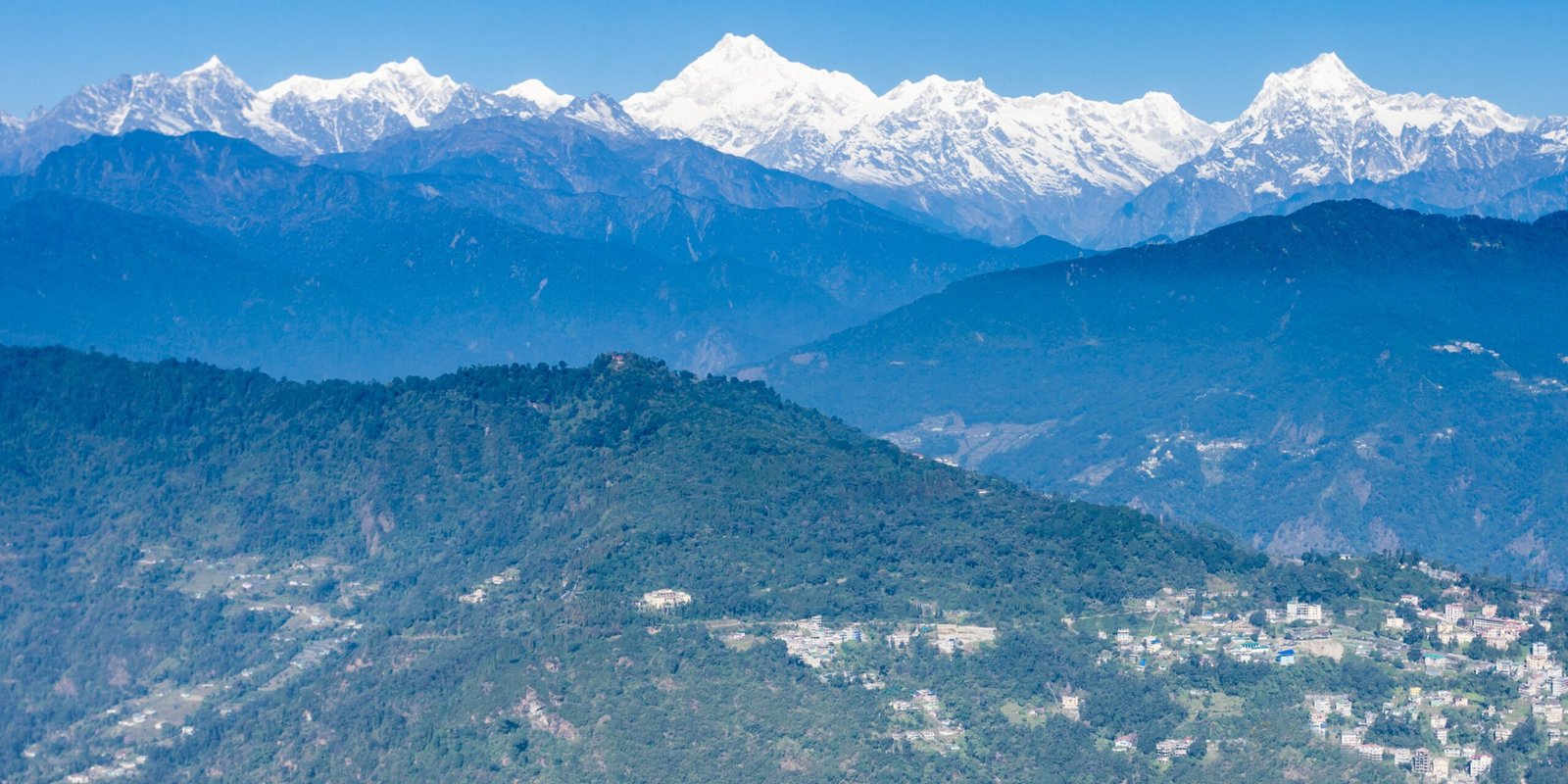 _go golden website (33)