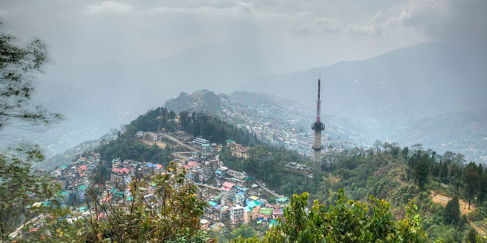 _go golden website (35)