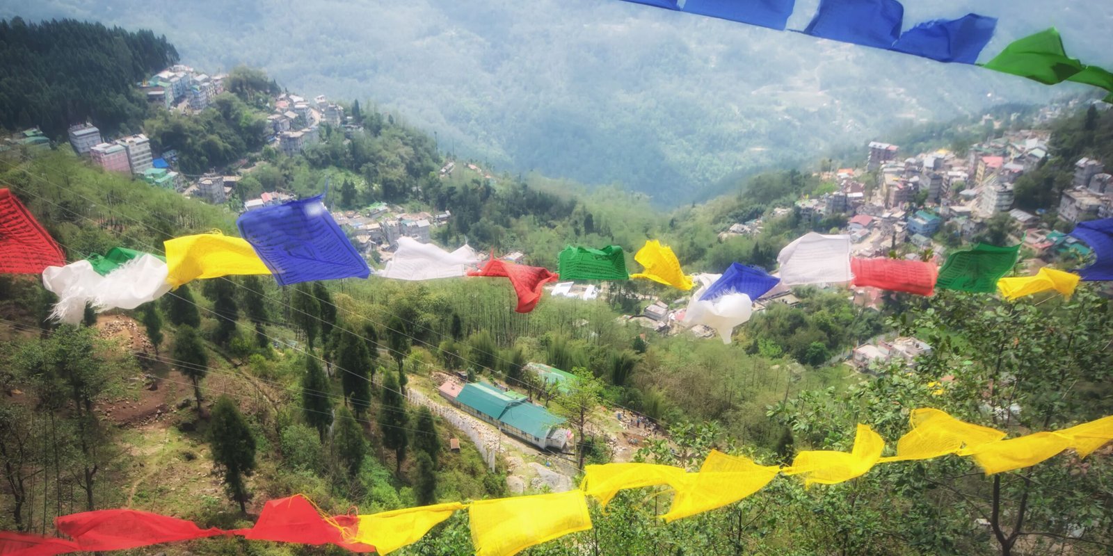 _go golden website (36)