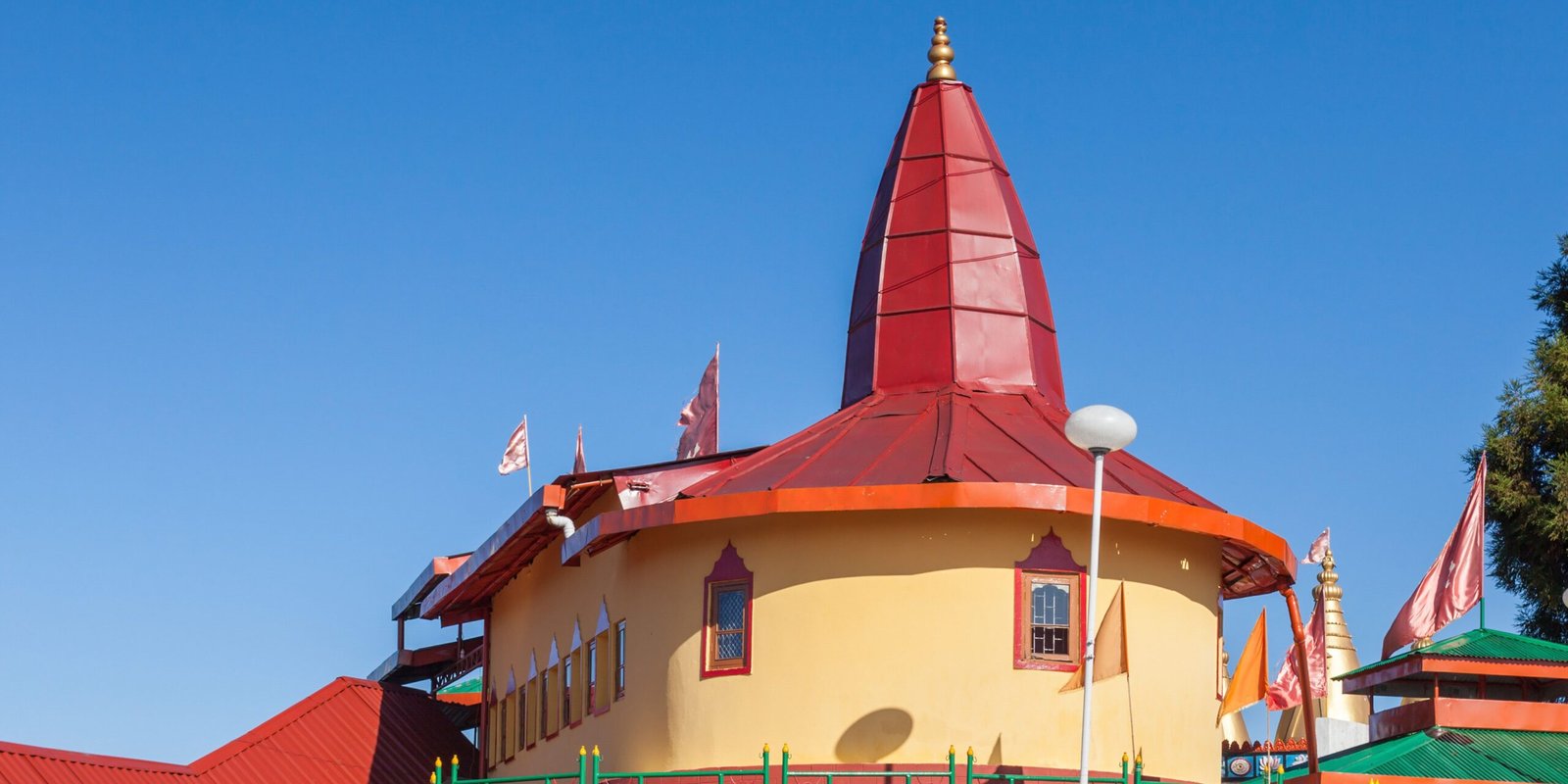 _go golden website (37)