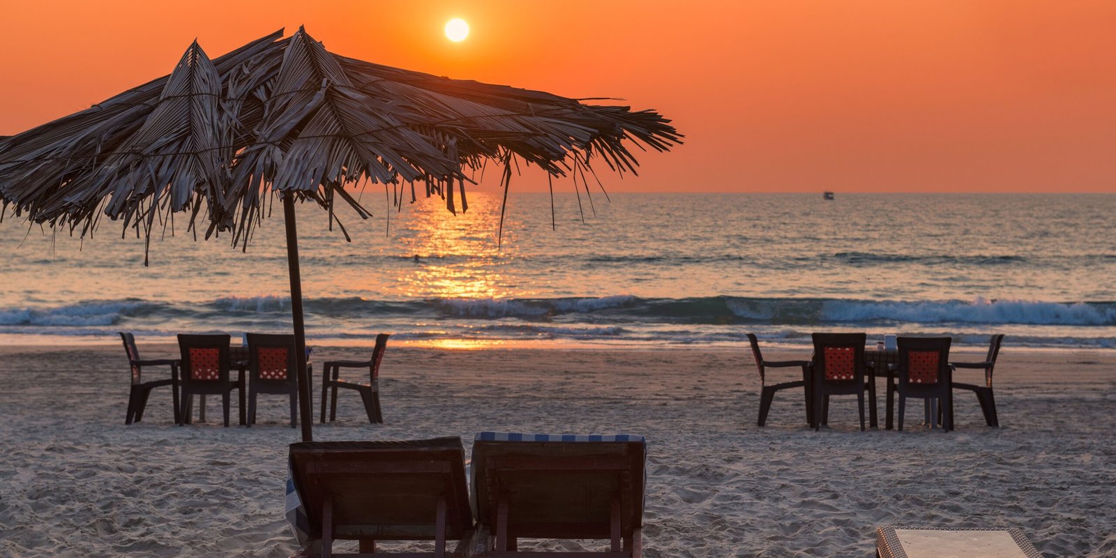 _go golden website (39)