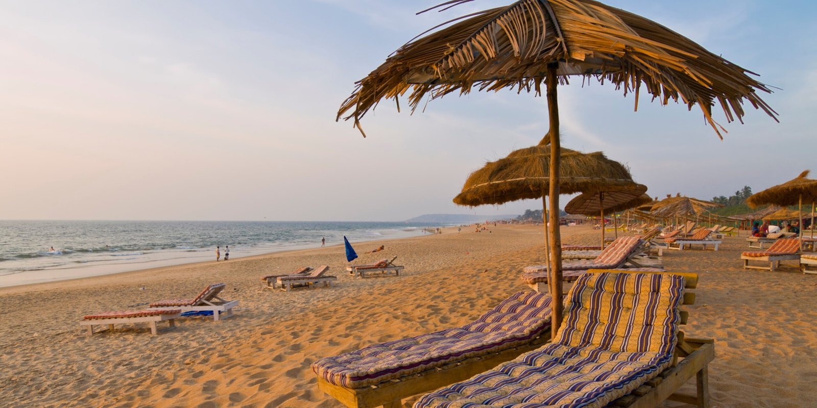 _go golden website (40)