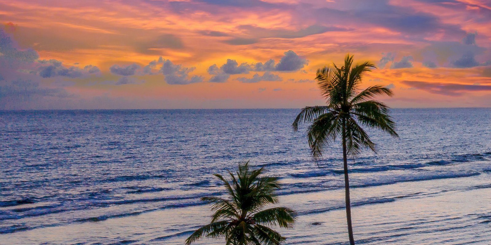 _go golden website (41)