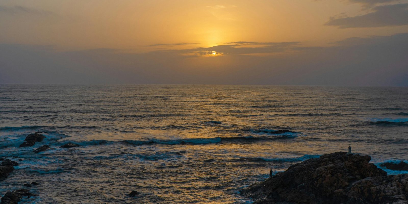 _go golden website (43)