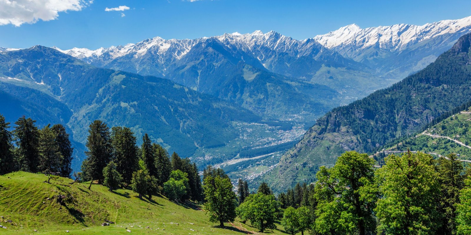 _go golden website (46)