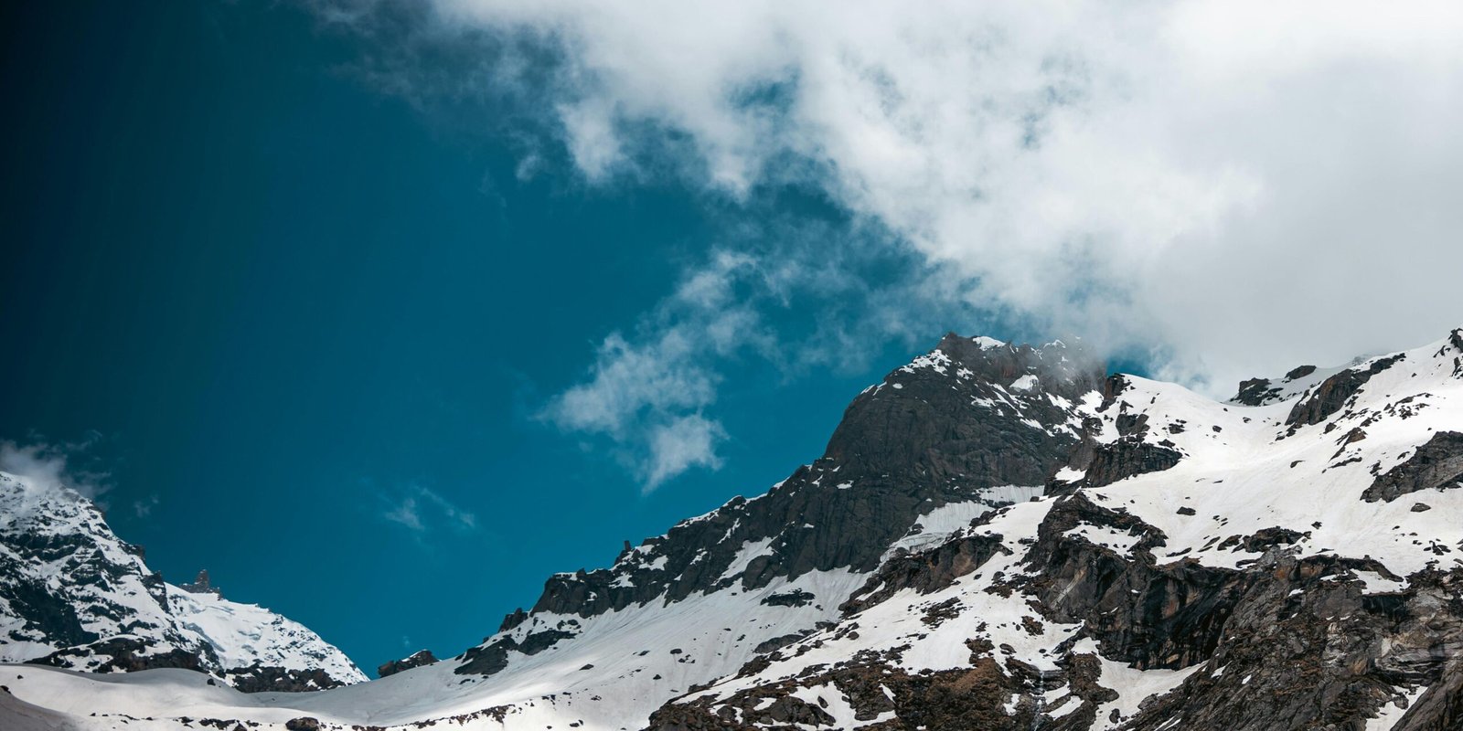 _go golden website (48)