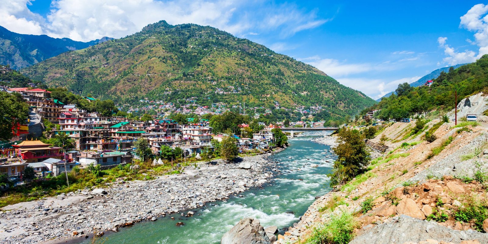 _go golden website (50)