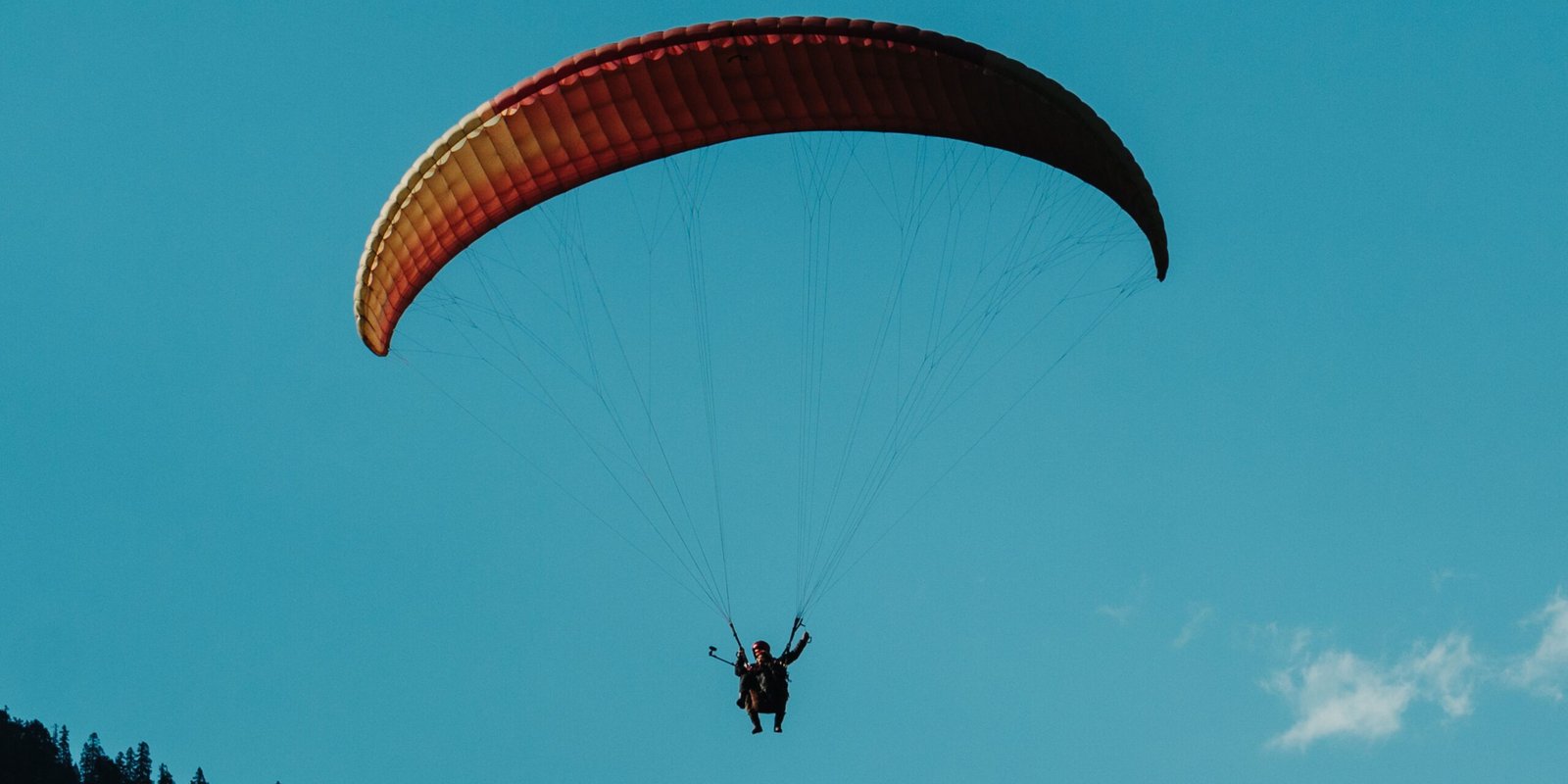 _go golden website (51)