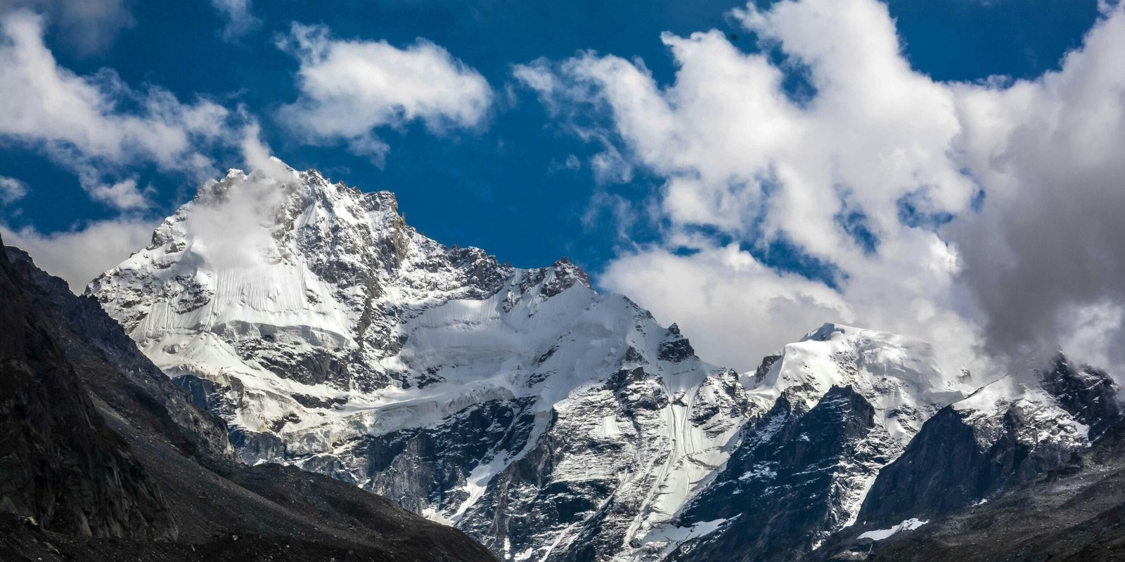 _go golden website (52)